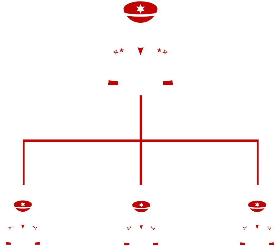 Organogram